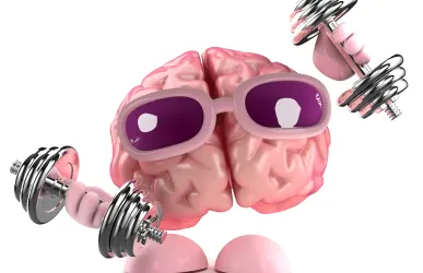 ASKÖ Fortbildung Gedächtnis- & Koordinationstraining